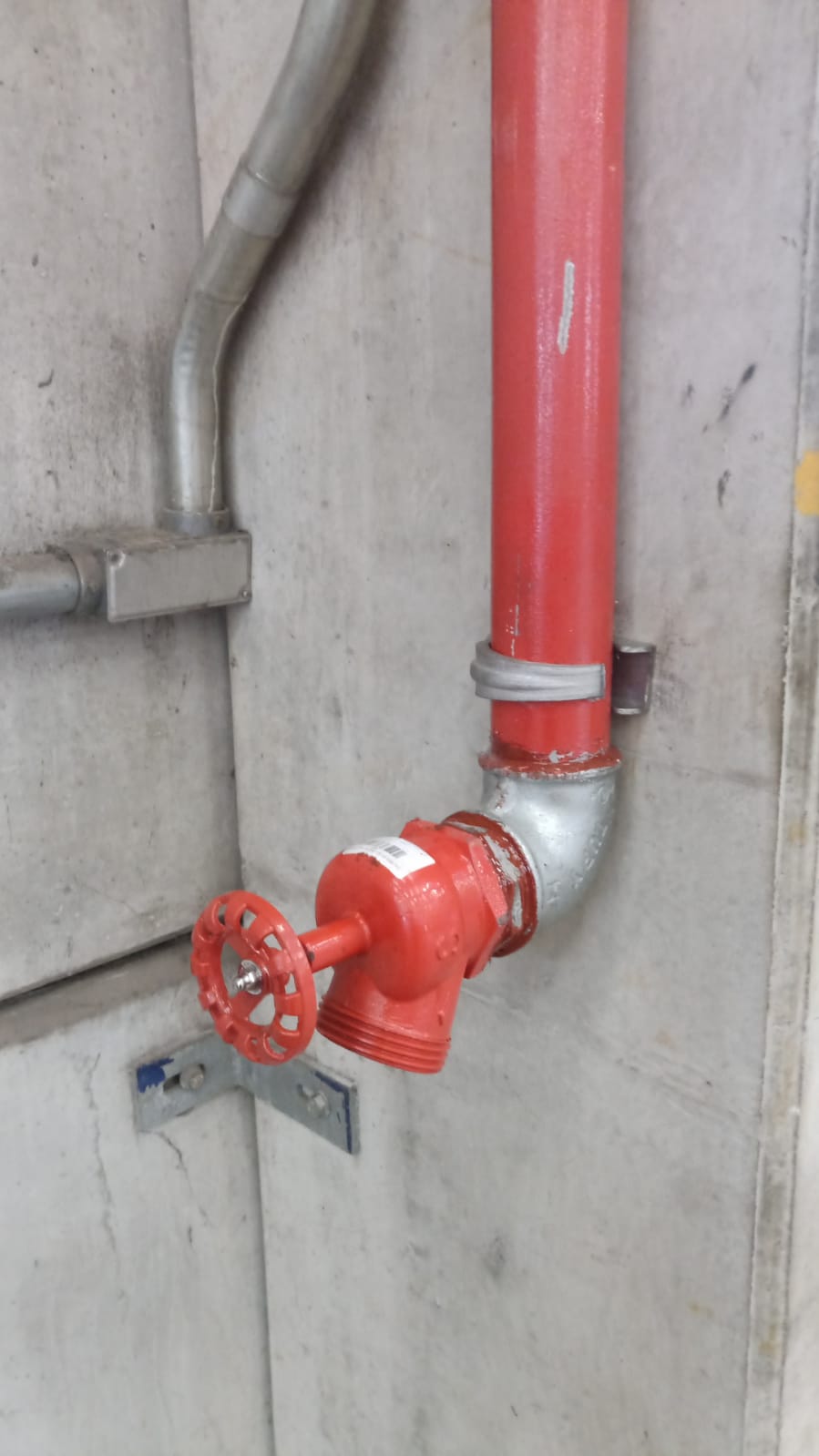 WhatsApp Image 2022-11-24 at 08.54.35.jpeg