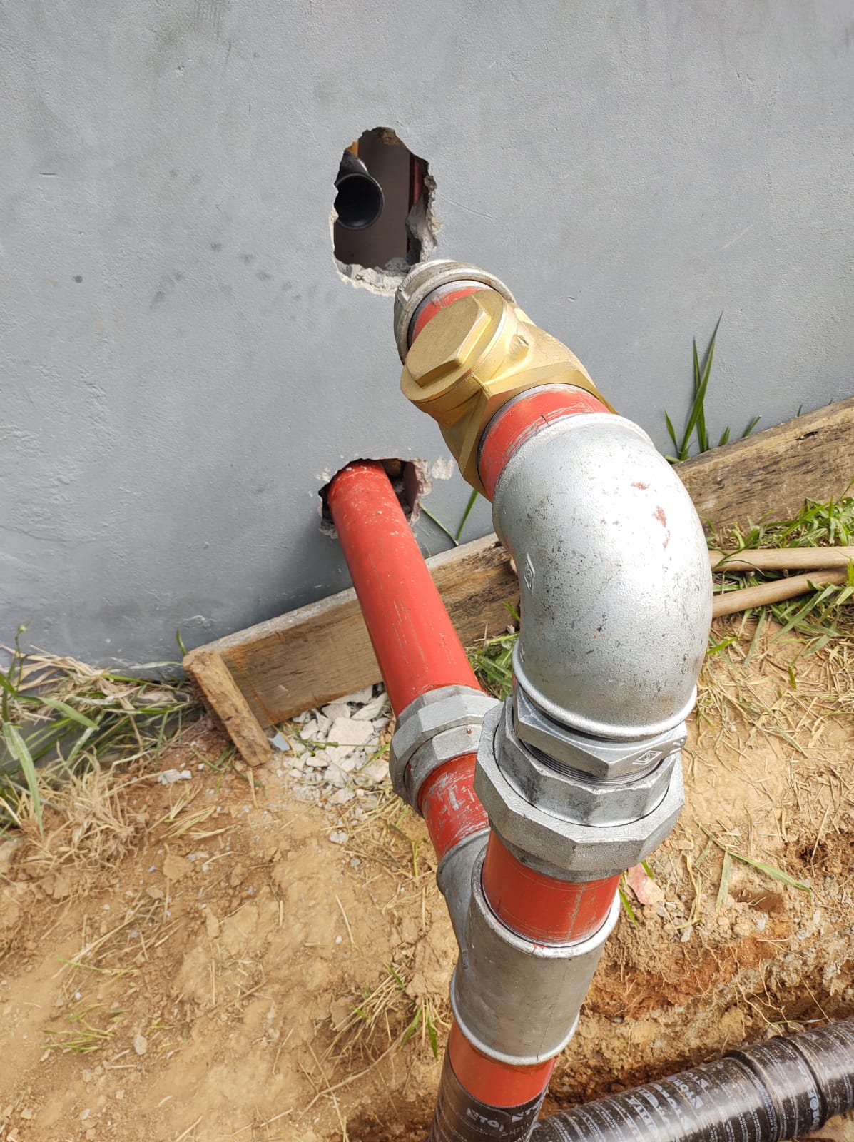 WhatsApp Image 2022-11-24 at 08.56.49.jpeg